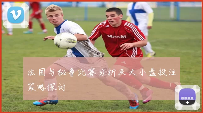 法国与秘鲁比赛分析及大小盘投注策略探讨
