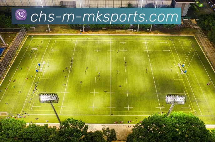 多媒体互动体验